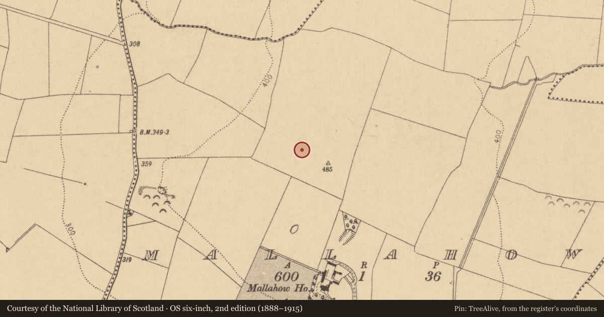 Ordnance Survey six-inch map, 2nd edition (1888–1915) covering the location of Ring-ditch, Mallahow, County Dublin, with a pin at the register's coordinates
