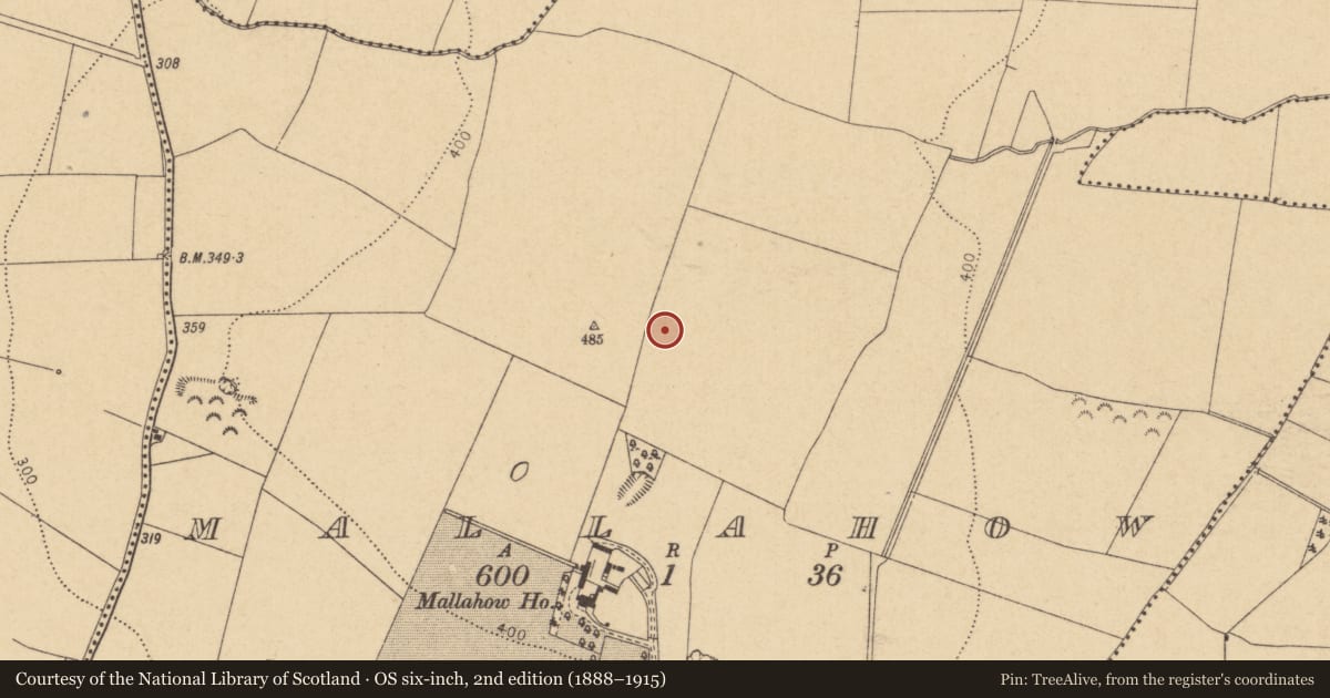 Ordnance Survey six-inch map, 2nd edition (1888–1915) covering the location of Ring-ditch, Mallahow, County Dublin, with a pin at the register's coordinates