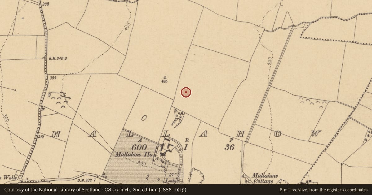 Ordnance Survey six-inch map, 2nd edition (1888–1915) covering the location of Ring-ditch, Mallahow, County Dublin, with a pin at the register's coordinates