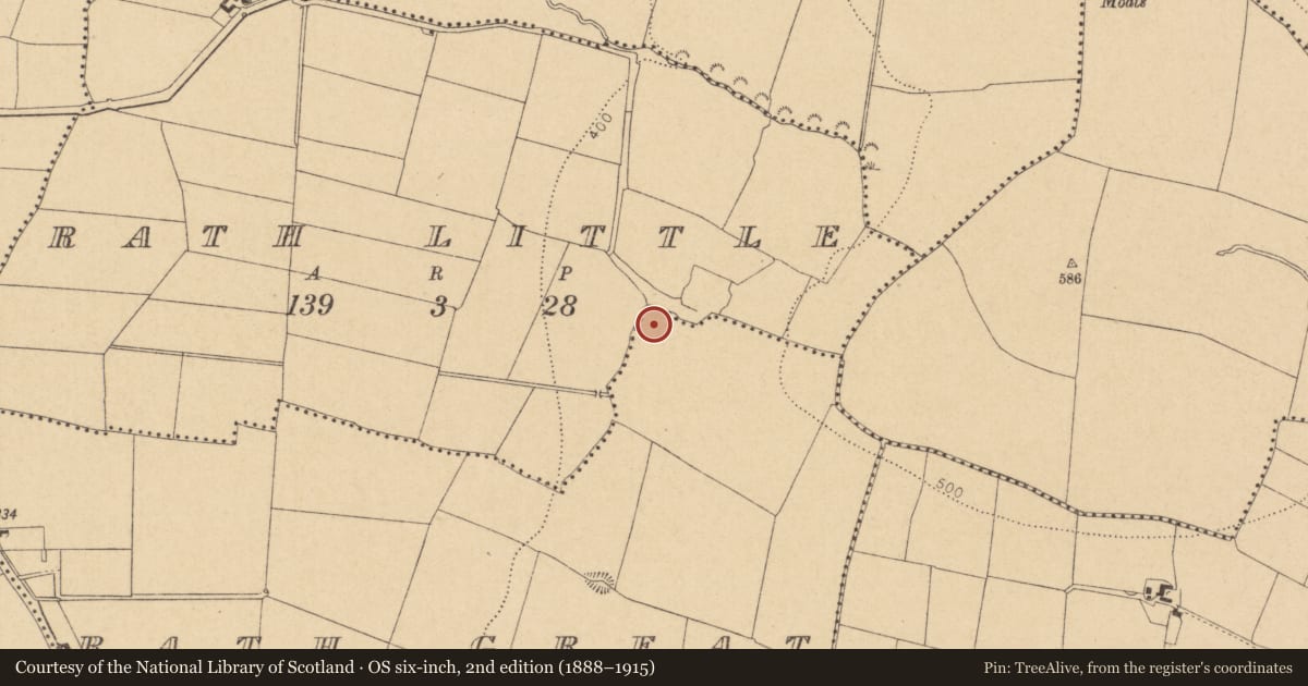 Ordnance Survey six-inch map, 2nd edition (1888–1915) covering the location of Ring-ditch, Rath Great, County Dublin, with a pin at the register's coordinates
