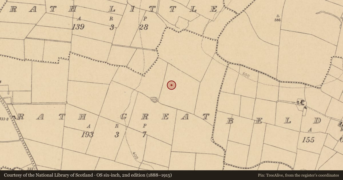 Ordnance Survey six-inch map, 2nd edition (1888–1915) covering the location of Ring-ditch, Rath Great, County Dublin, with a pin at the register's coordinates