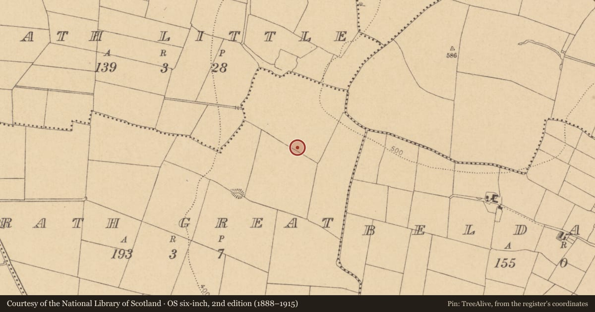 Ordnance Survey six-inch map, 2nd edition (1888–1915) covering the location of Ring-ditch, Rath Great, County Dublin, with a pin at the register's coordinates