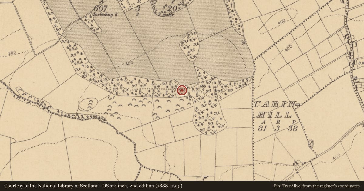 Ordnance Survey six-inch map, 2nd edition (1888–1915) covering the location of Enclosure, Westown, County Dublin, with a pin at the register's coordinates