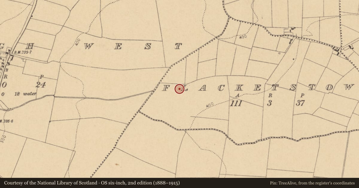 Ordnance Survey six-inch map, 2nd edition (1888–1915) covering the location of Enclosure, Flacketstown, County Dublin, with a pin at the register's coordinates