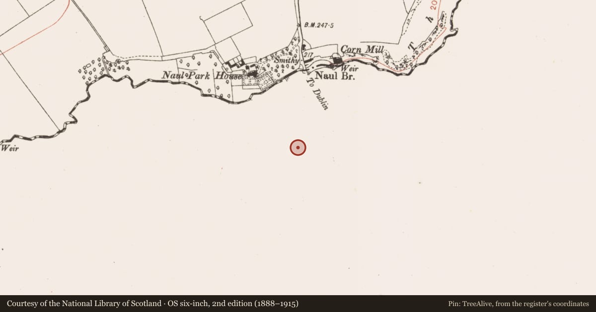 Ordnance Survey six-inch map, 2nd edition (1888–1915) covering the location of Dovecote, Westown, County Dublin, with a pin at the register's coordinates