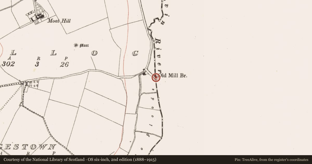 Ordnance Survey six-inch map, 2nd edition (1888–1915) covering the location of Bridge, Coolfores, Reynoldstown, County Dublin, with a pin at the register's coordinates