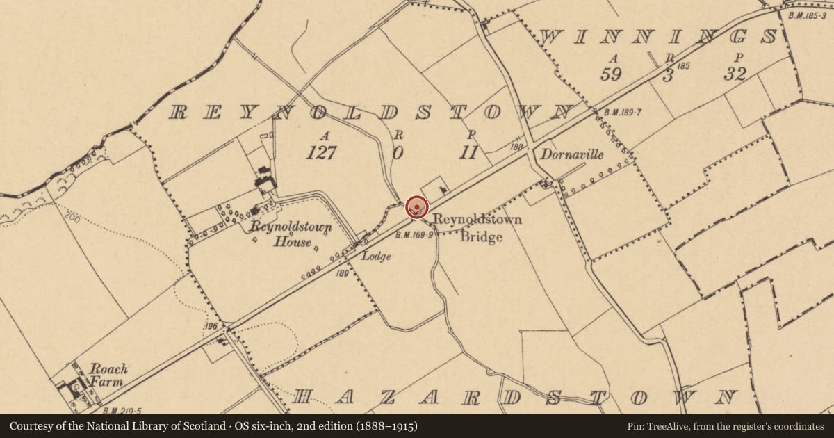 Ordnance Survey six-inch map, 2nd edition (1888–1915) covering the location of Bridge, Reynoldstown, County Dublin, with a pin at the register's coordinates