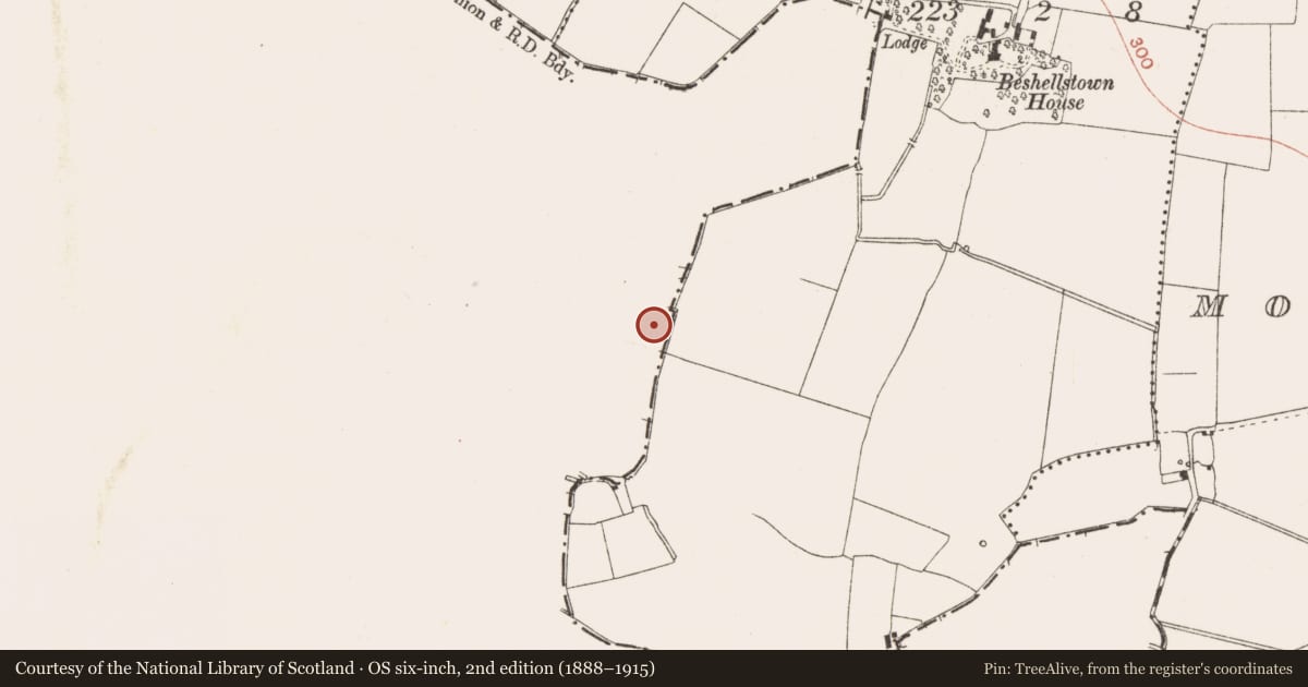Ordnance Survey six-inch map, 2nd edition (1888–1915) covering the location of Quarry, Commons Lower, County Dublin, with a pin at the register's coordinates