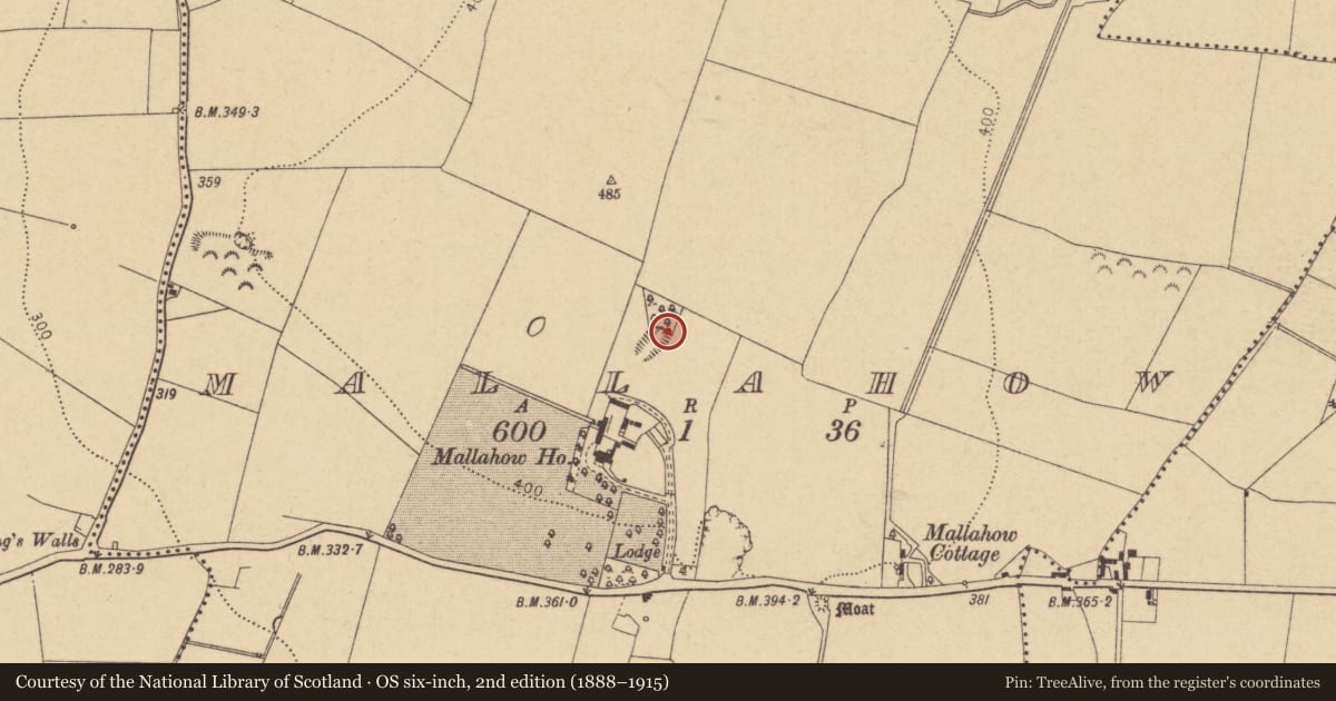 Ordnance Survey six-inch map, 2nd edition (1888–1915) covering the location of Quarry, Mallahow, County Dublin, with a pin at the register's coordinates