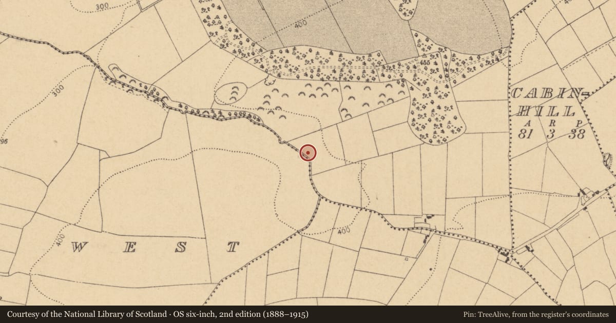 Ordnance Survey six-inch map, 2nd edition (1888–1915) covering the location of Quarry, Curragh West, Westown, County Dublin, with a pin at the register's coordinates
