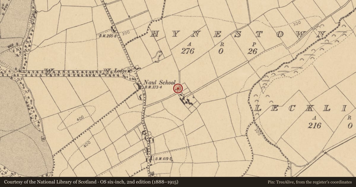 Ordnance Survey six-inch map, 2nd edition (1888–1915) covering the location of Quarry, Hynestown, County Dublin, with a pin at the register's coordinates