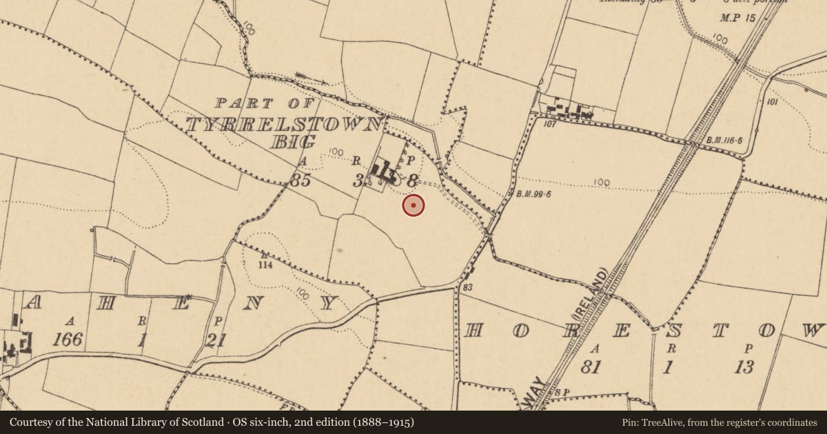 Ordnance Survey six-inch map, 2nd edition (1888–1915) covering the location of Earthwork, Tyrrelstown Big (Detached portion), County Dublin, with a pin at the register's coordinates