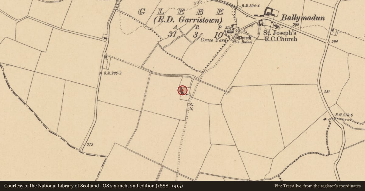 Ordnance Survey six-inch map, 2nd edition (1888–1915) covering the location of Armorial plaque, Ballymadun, County Dublin, with a pin at the register's coordinates