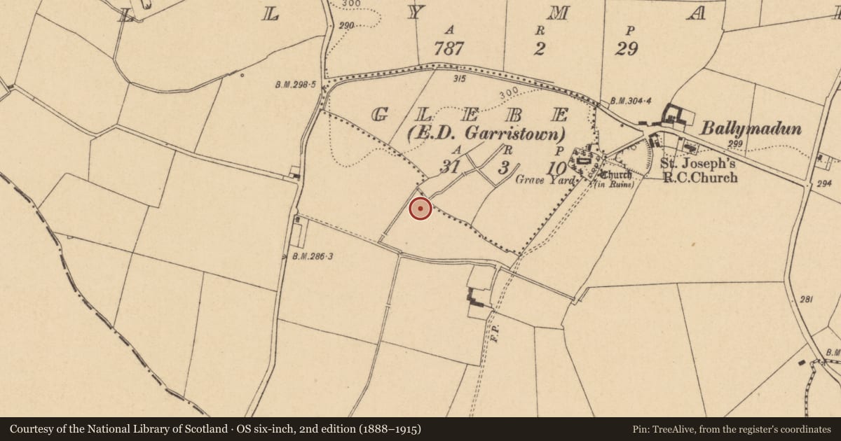 Ordnance Survey six-inch map, 2nd edition (1888–1915) covering the location of Ringfort - unclassified, Ballymadun, County Dublin, with a pin at the register's coordinates
