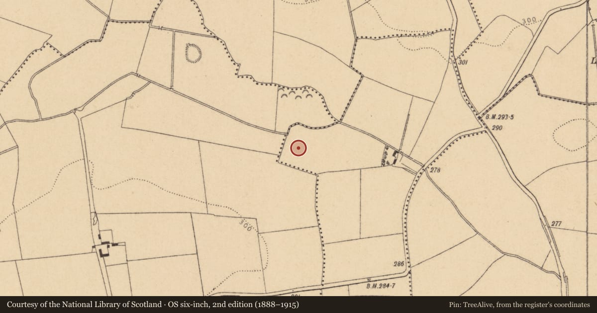 Ordnance Survey six-inch map, 2nd edition (1888–1915) covering the location of Ringfort - unclassified, Knockaneek, County Dublin, with a pin at the register's coordinates