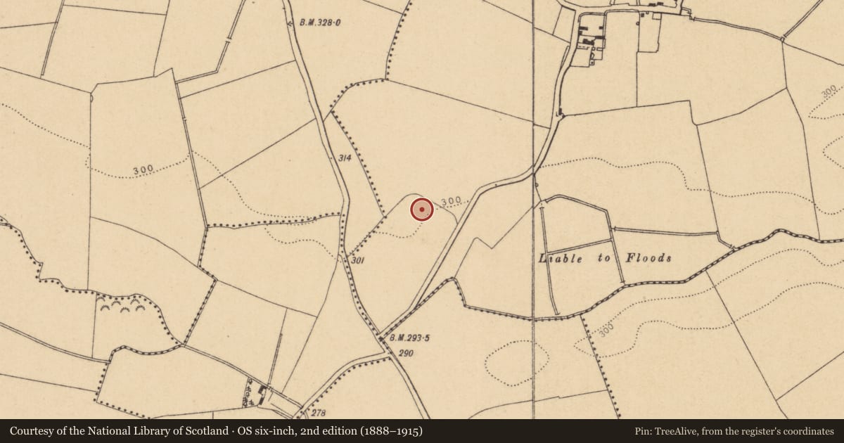 Ordnance Survey six-inch map, 2nd edition (1888–1915) covering the location of Enclosure, Wyestown, County Dublin, with a pin at the register's coordinates