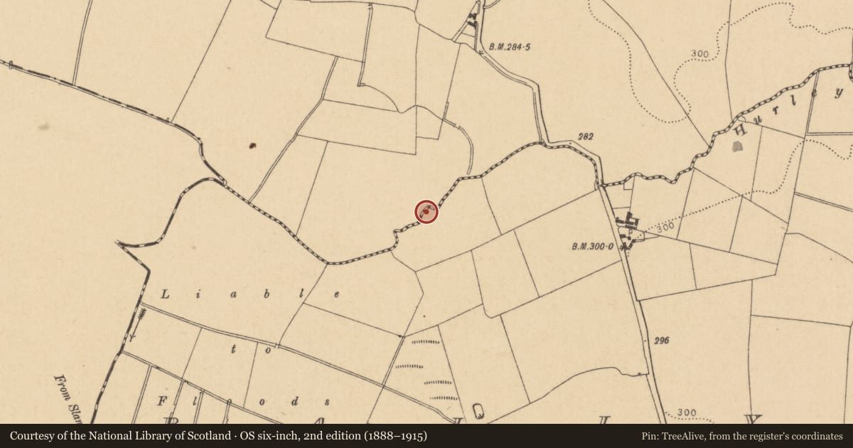 Ordnance Survey six-inch map, 2nd edition (1888–1915) covering the location of Water mill - unclassified, Ballymadun, Borranstown, County Dublin, with a pin at the register's coordinates