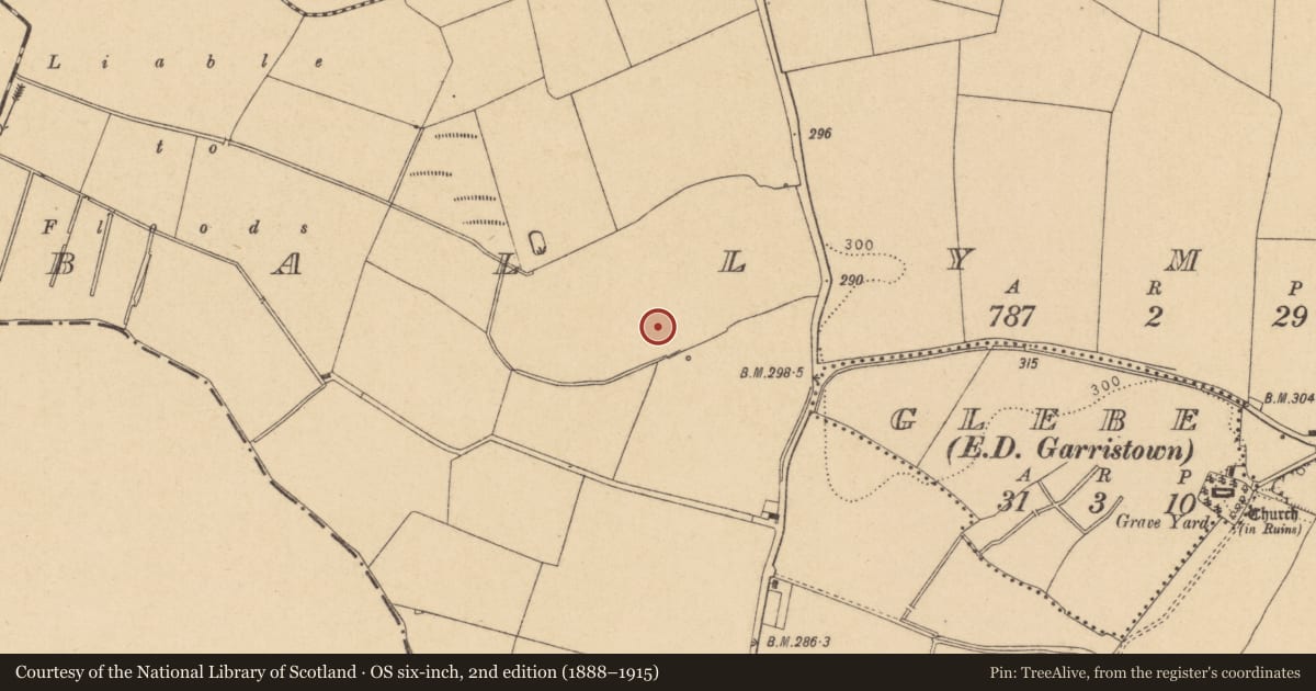 Ordnance Survey six-inch map, 2nd edition (1888–1915) covering the location of Enclosure, Ballymadun, County Dublin, with a pin at the register's coordinates