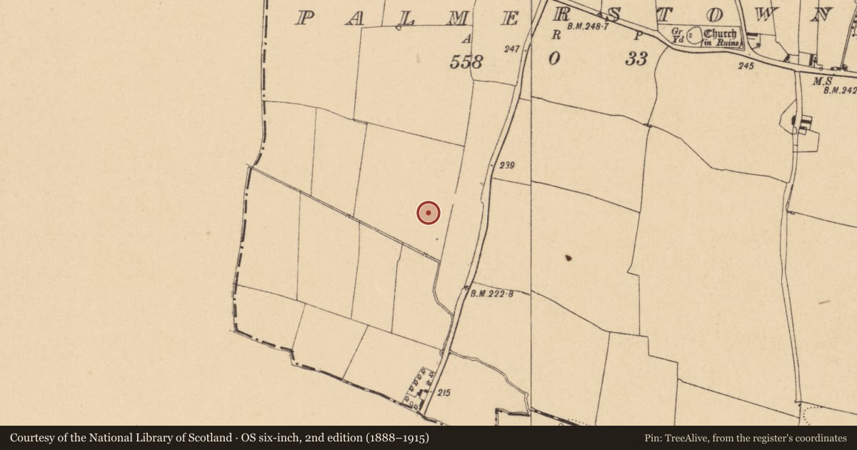 Ordnance Survey six-inch map, 2nd edition (1888–1915) covering the location of Ring-ditch, Palmerstown, County Dublin, with a pin at the register's coordinates