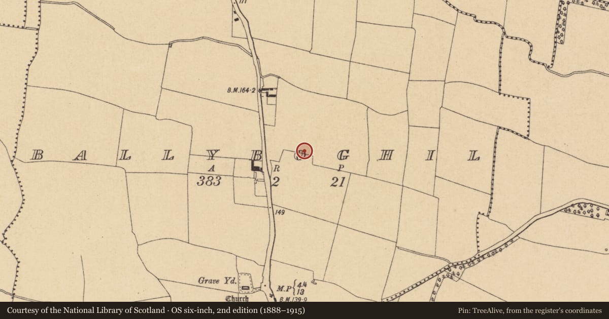 Ordnance Survey six-inch map, 2nd edition (1888–1915) covering the location of Enclosure, Ballyboghil, County Dublin, with a pin at the register's coordinates