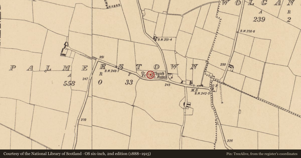 Ordnance Survey six-inch map, 2nd edition (1888–1915) covering the location of Church, Palmerstown, County Dublin, with a pin at the register's coordinates