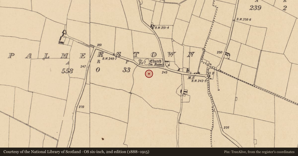 Ordnance Survey six-inch map, 2nd edition (1888–1915) covering the location of Ritual site - holy well, Palmerstown, County Dublin, with a pin at the register's coordinates