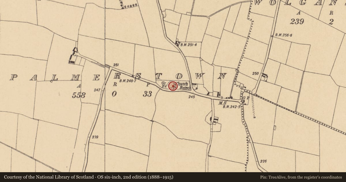 Ordnance Survey six-inch map, 2nd edition (1888–1915) covering the location of Graveyard, Palmerstown, County Dublin, with a pin at the register's coordinates