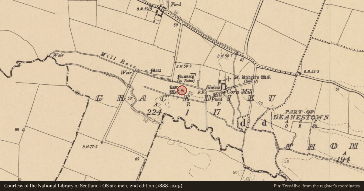 Ordnance Survey six-inch map, 2nd edition (1888–1915) covering the location of Ritual site - holy well, Gracedieu, County Dublin, with a pin at the register's coordinates