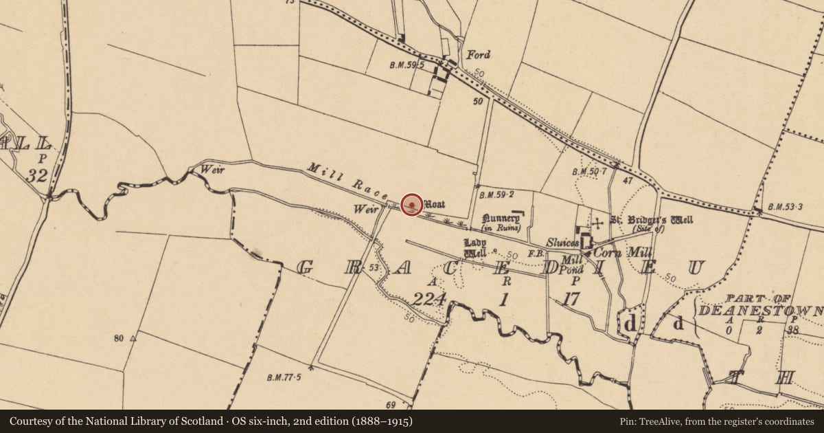 Ordnance Survey six-inch map, 2nd edition (1888–1915) covering the location of Mound, Gracedieu, County Dublin, with a pin at the register's coordinates