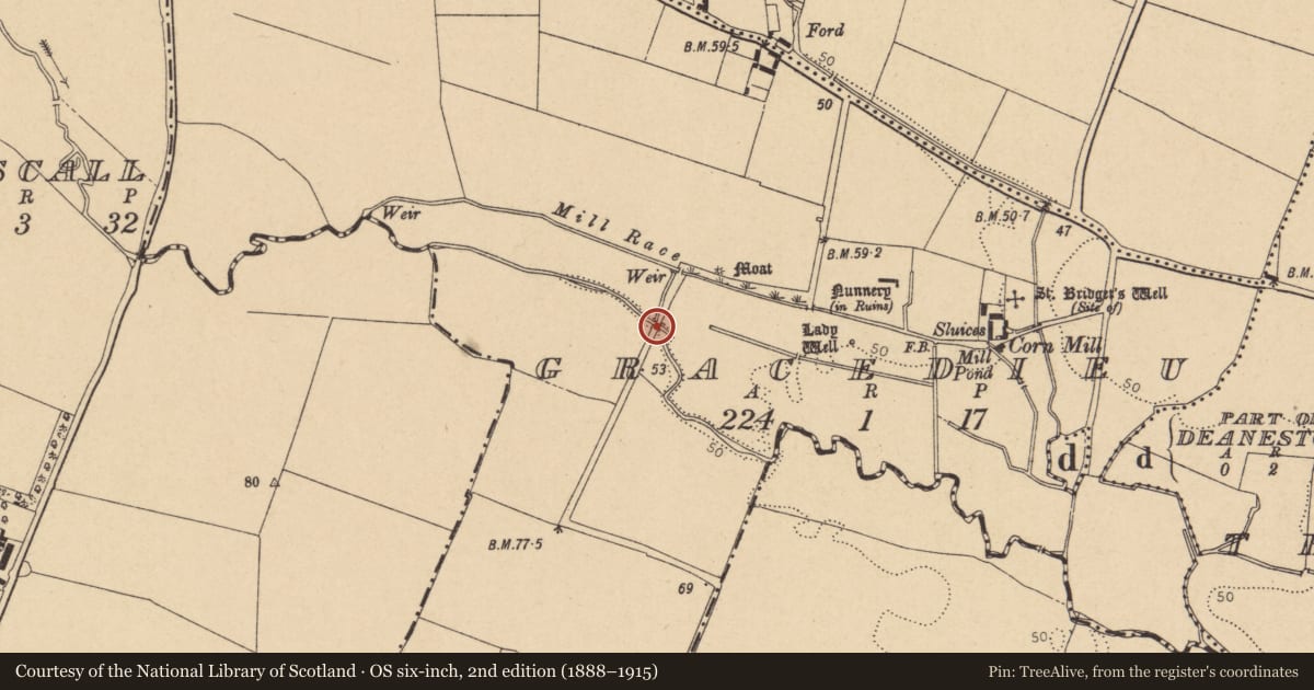 Ordnance Survey six-inch map, 2nd edition (1888–1915) covering the location of Bridge, Gracedieu, County Dublin, with a pin at the register's coordinates