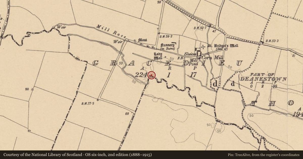 Ordnance Survey six-inch map, 2nd edition (1888–1915) covering the location of Bridge, Gracedieu, County Dublin, with a pin at the register's coordinates