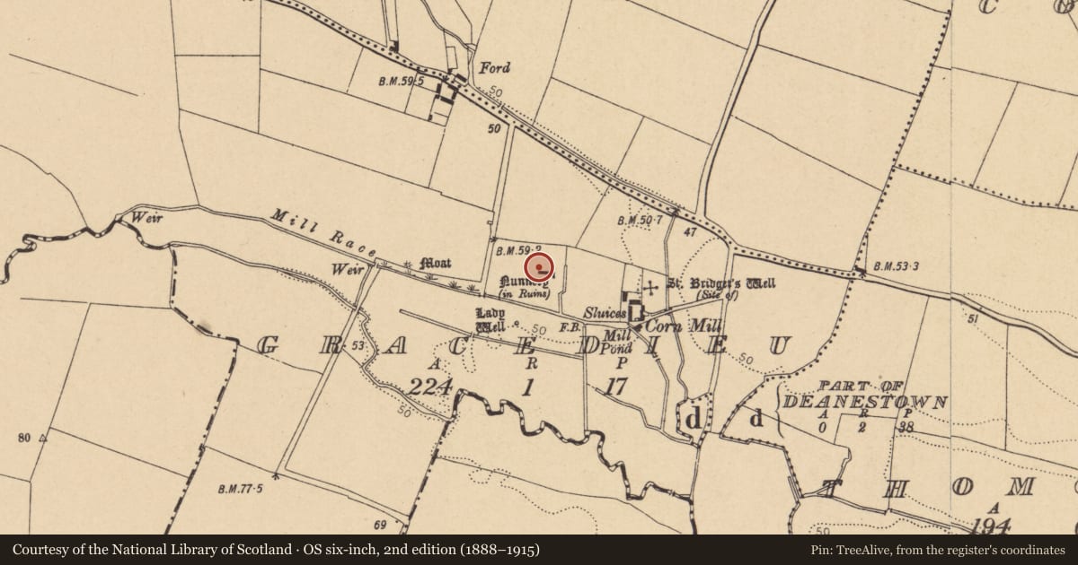 Ordnance Survey six-inch map, 2nd edition (1888–1915) covering the location of Graveslab, Gracedieu, County Dublin, with a pin at the register's coordinates