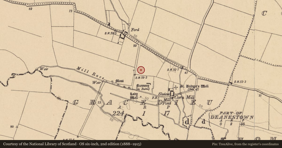 Ordnance Survey six-inch map, 2nd edition (1888–1915) covering the location of Burial ground, Gracedieu, County Dublin, with a pin at the register's coordinates