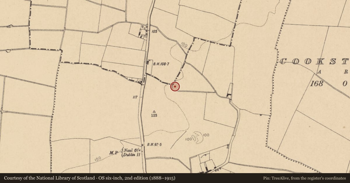 Ordnance Survey six-inch map, 2nd edition (1888–1915) covering the location of Earthwork, Belinstown, Skidoo, County Dublin, with a pin at the register's coordinates
