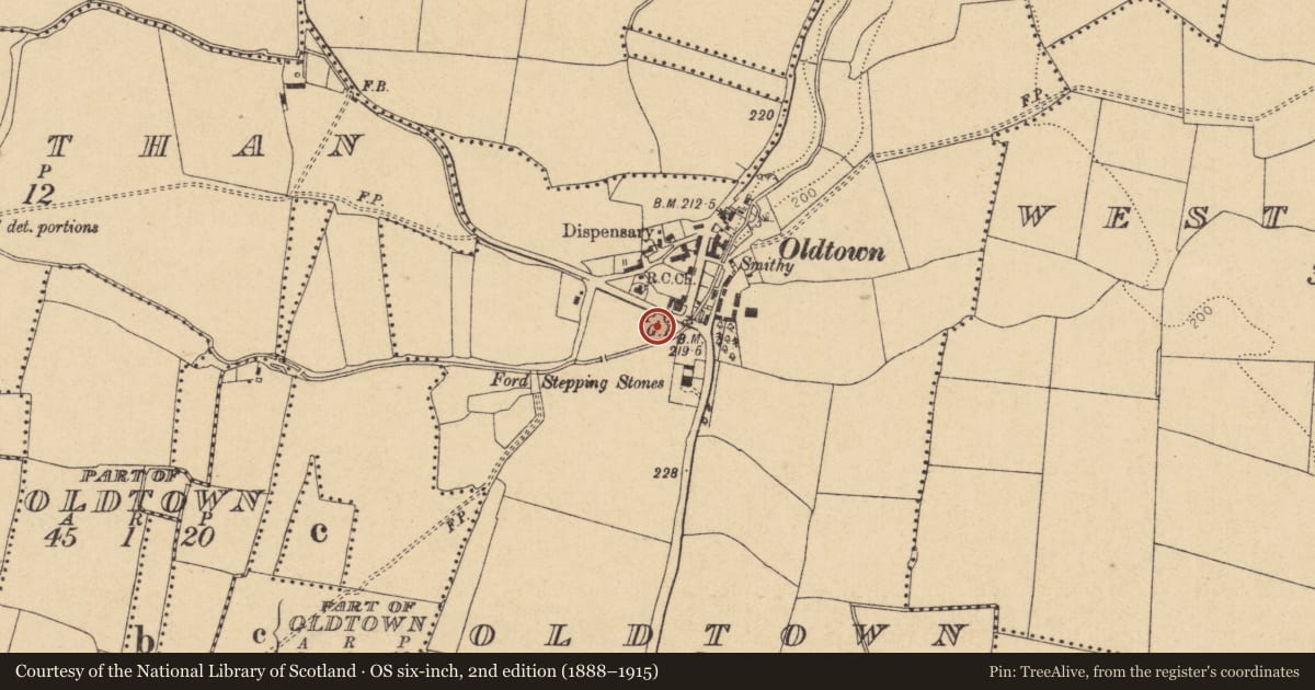 Ordnance Survey six-inch map, 2nd edition (1888–1915) covering the location of Earthwork, Oldtown, County Dublin, with a pin at the register's coordinates