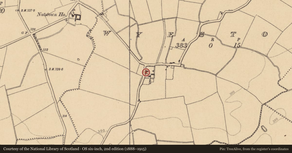 Ordnance Survey six-inch map, 2nd edition (1888–1915) covering the location of Armorial plaque (present location), Wyestown, County Dublin, with a pin at the register's coordinates