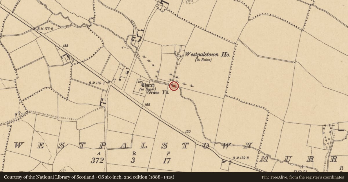 Ordnance Survey six-inch map, 2nd edition (1888–1915) covering the location of Bridge, Westpalstown, County Dublin, with a pin at the register's coordinates