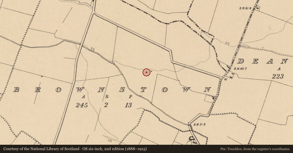 Ordnance Survey six-inch map, 2nd edition (1888–1915) covering the location of Fulacht fia, Brownstown, County Dublin, with a pin at the register's coordinates