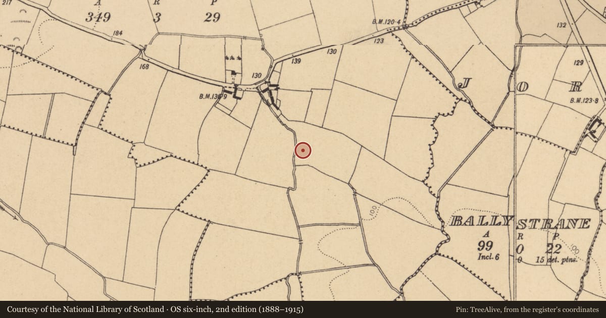 Ordnance Survey six-inch map, 2nd edition (1888–1915) covering the location of Ecclesiastical site, Nevitt, County Dublin, with a pin at the register's coordinates
