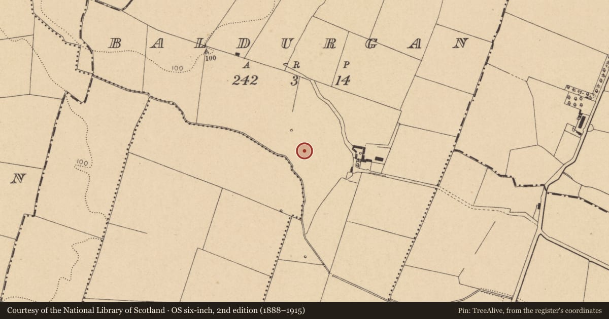 Ordnance Survey six-inch map, 2nd edition (1888–1915) covering the location of Ring-ditch, Baldurgan, County Dublin, with a pin at the register's coordinates