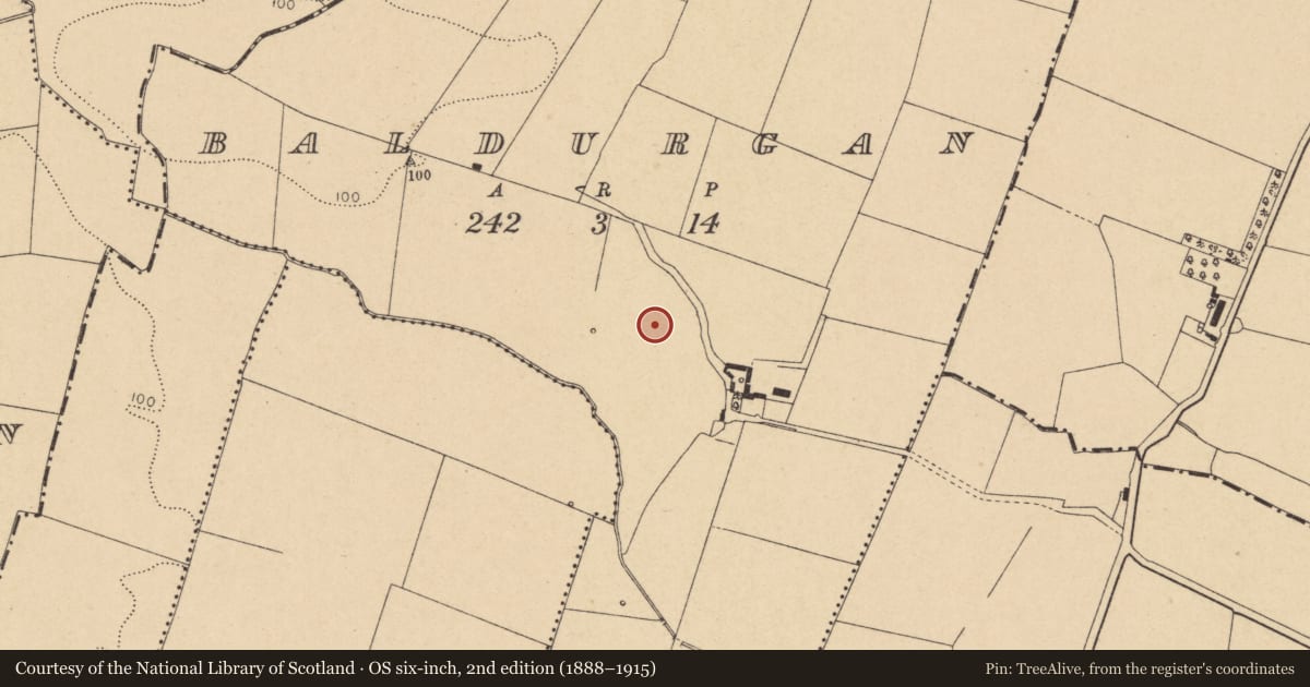 Ordnance Survey six-inch map, 2nd edition (1888–1915) covering the location of Ring-ditch, Baldurgan, County Dublin, with a pin at the register's coordinates
