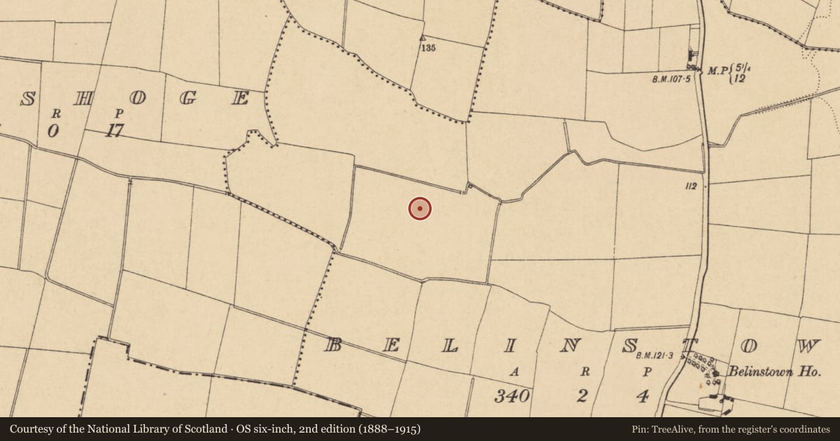 Ordnance Survey six-inch map, 2nd edition (1888–1915) covering the location of Enclosure, Belinstown, County Dublin, with a pin at the register's coordinates