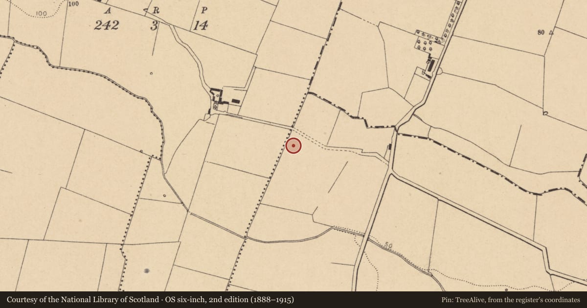 Ordnance Survey six-inch map, 2nd edition (1888–1915) covering the location of Ring-ditch, Brownstown, County Dublin, with a pin at the register's coordinates