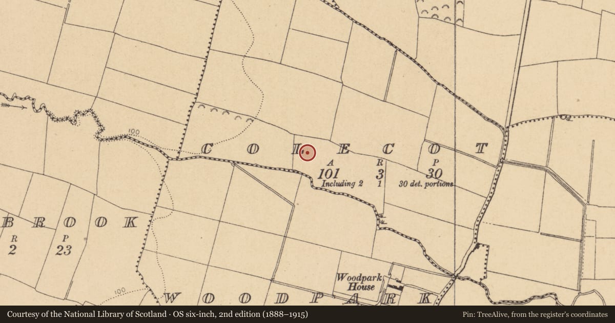 Ordnance Survey six-inch map, 2nd edition (1888–1915) covering the location of Enclosure, Colecot, County Dublin, with a pin at the register's coordinates