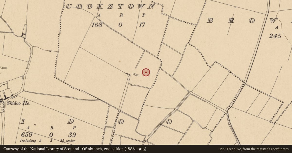 Ordnance Survey six-inch map, 2nd edition (1888–1915) covering the location of Enclosure, Cookstown, County Dublin, with a pin at the register's coordinates