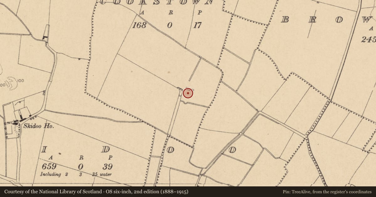 Ordnance Survey six-inch map, 2nd edition (1888–1915) covering the location of Field system, Cookstown, County Dublin, with a pin at the register's coordinates