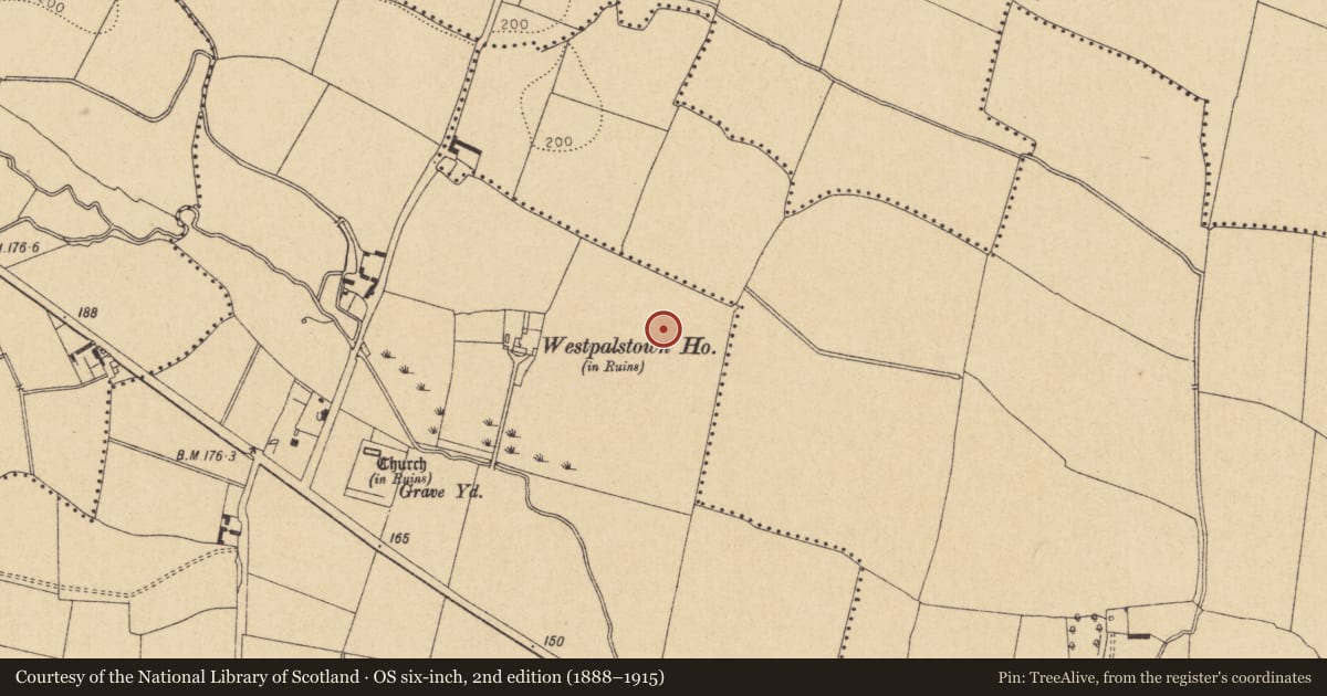 Ordnance Survey six-inch map, 2nd edition (1888–1915) covering the location of Enclosure, Westpalstown, County Dublin, with a pin at the register's coordinates