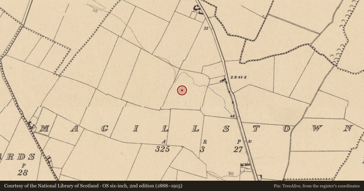 Ordnance Survey six-inch map, 2nd edition (1888–1915) covering the location of Enclosure, Magillstown, County Dublin, with a pin at the register's coordinates