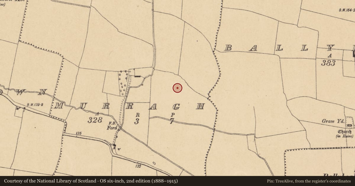 Ordnance Survey six-inch map, 2nd edition (1888–1915) covering the location of Field system, Murragh, County Dublin, with a pin at the register's coordinates