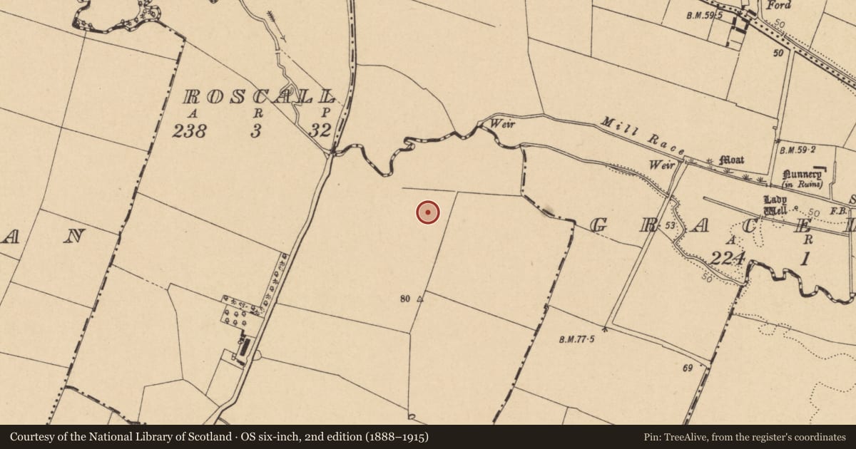 Ordnance Survey six-inch map, 2nd edition (1888–1915) covering the location of Ring-ditch, Roscall, County Dublin, with a pin at the register's coordinates